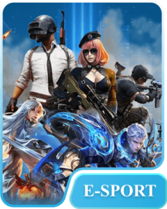 E-SPORT